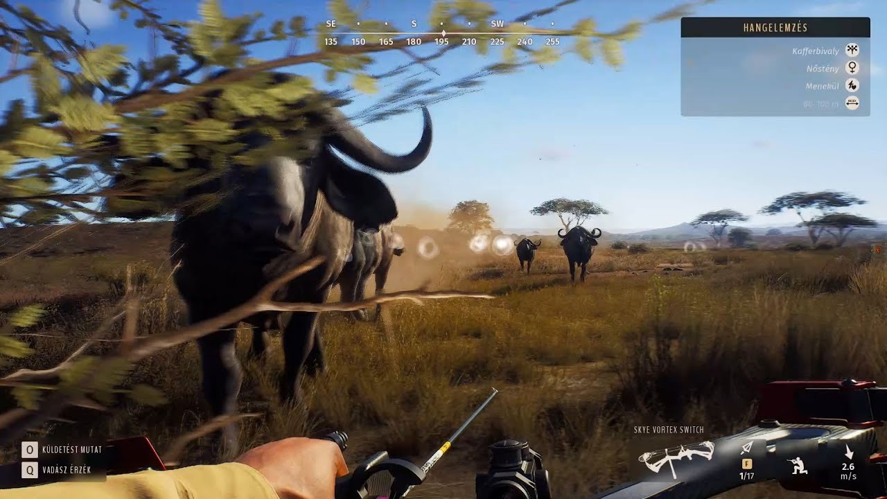 Vadásszunk: Way of the Hunter Afrika DLC: A Kafferbivaly (Cape Buffalo) vadászat több mint veszélyes