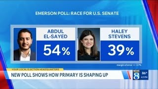 New poll shows how primary is shaping up