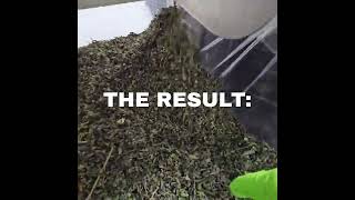Did you ever think you could process 1 pound of cannabis in just 20 seconds?
