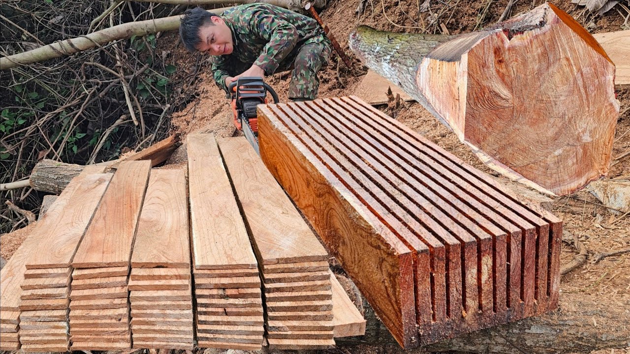 The man has skillful sawing skills to turn a large tree into many ...