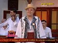 Liviu Olteanu - Frunza galbenă și lunga