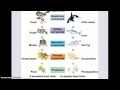 Ecology: Energy and Matter Flow