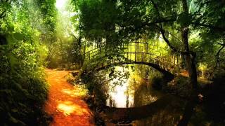 مصحف القارئ : عبدالمحسن الحارثي - سورة - AlAnbiya_الأنبياء
