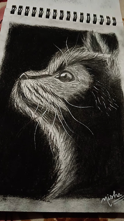 Download lagu #music #remix #phonkmusic #edm #drawing #art #beauty #cat #charcoal #dance #cure #cute #cati #catie