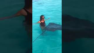 E3Eef2995857F0F6Cda2Edc2004Ae35C