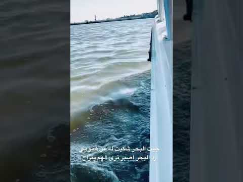 شكيت همي للبحر