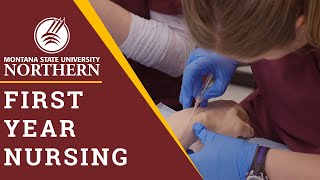 MSUN - First Year Nursing