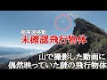【未確認飛行物体】山で撮影したら偶然映っていた超高速移動する謎の飛行物体UFO?
