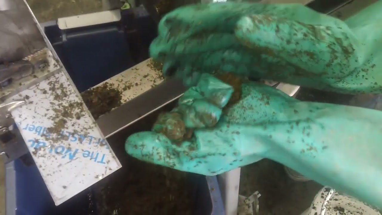 Kratom Leaf and Powder Vincent Screw Press