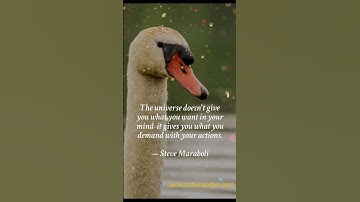 Welcome to jacksanfernandes.com, the most effective online counseling service available.