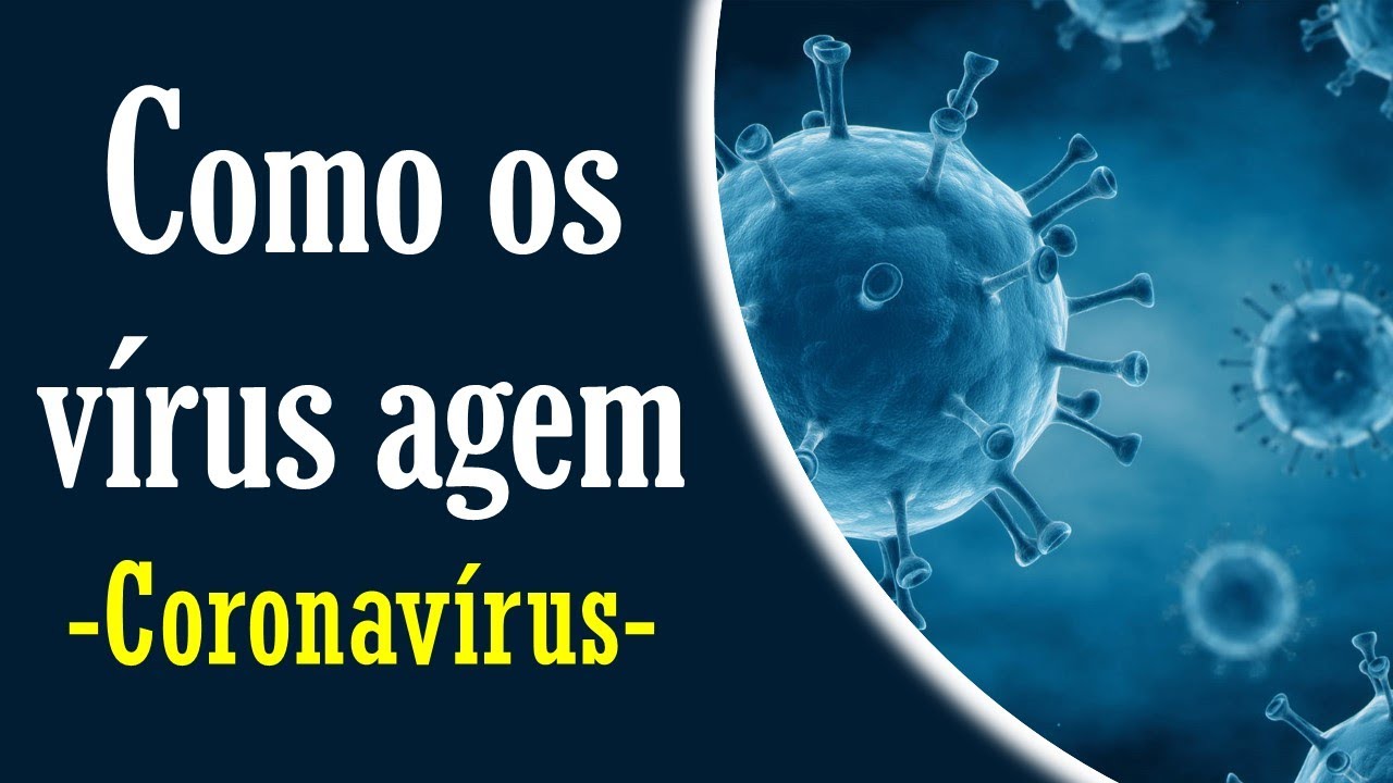 Como Os Vírus E Bactérias Agem No Organismo Brainly