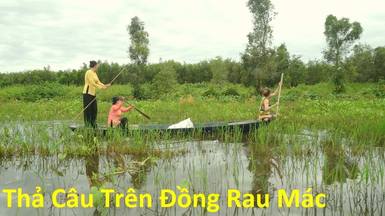 509 / Thả Câu Chai Trên Cánh Đồng Rau Mác - YouTube