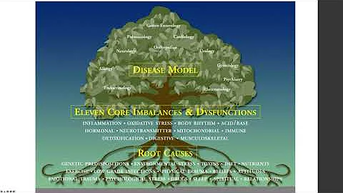 Integrative Psychiatry  - 1 Hour Overview Video - ...