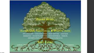 Integrative Psychiatry  - 1 Hour Overview Video - Dr. Jonathan Terry