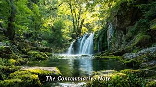 A soft whisper from the forest stream ☘️💧 Quiet Forest | Gentle Piano & Cello Music screenshot 5