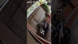 THIS IS HOW TO THROW A THEFT