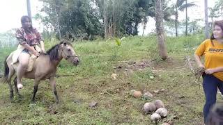 She Will Ride First And I Will Be The Next One Later.