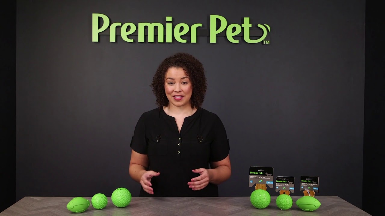 Premier Pet Treat Holding Dog Toy Quick Overview YouTube