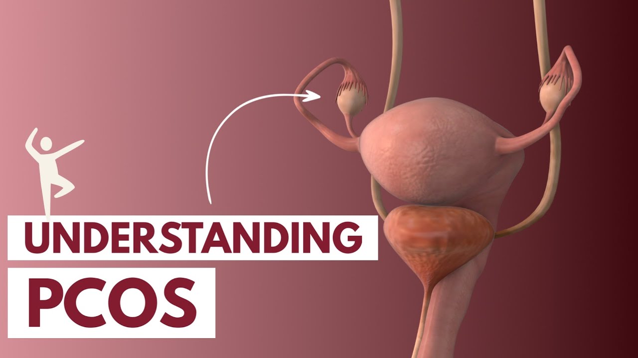 ⁣Understanding PCOS | 3D Animation