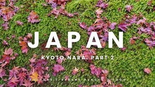 Japan Youve Never Seen. Kyoto-Nara Trip