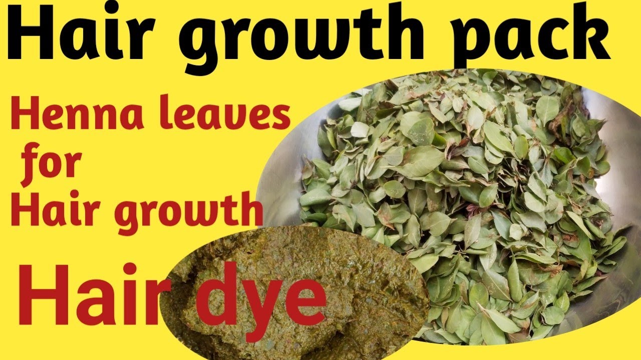 Henna Leaves For Hair GrowthHair Growth PackHair DyeShirisha