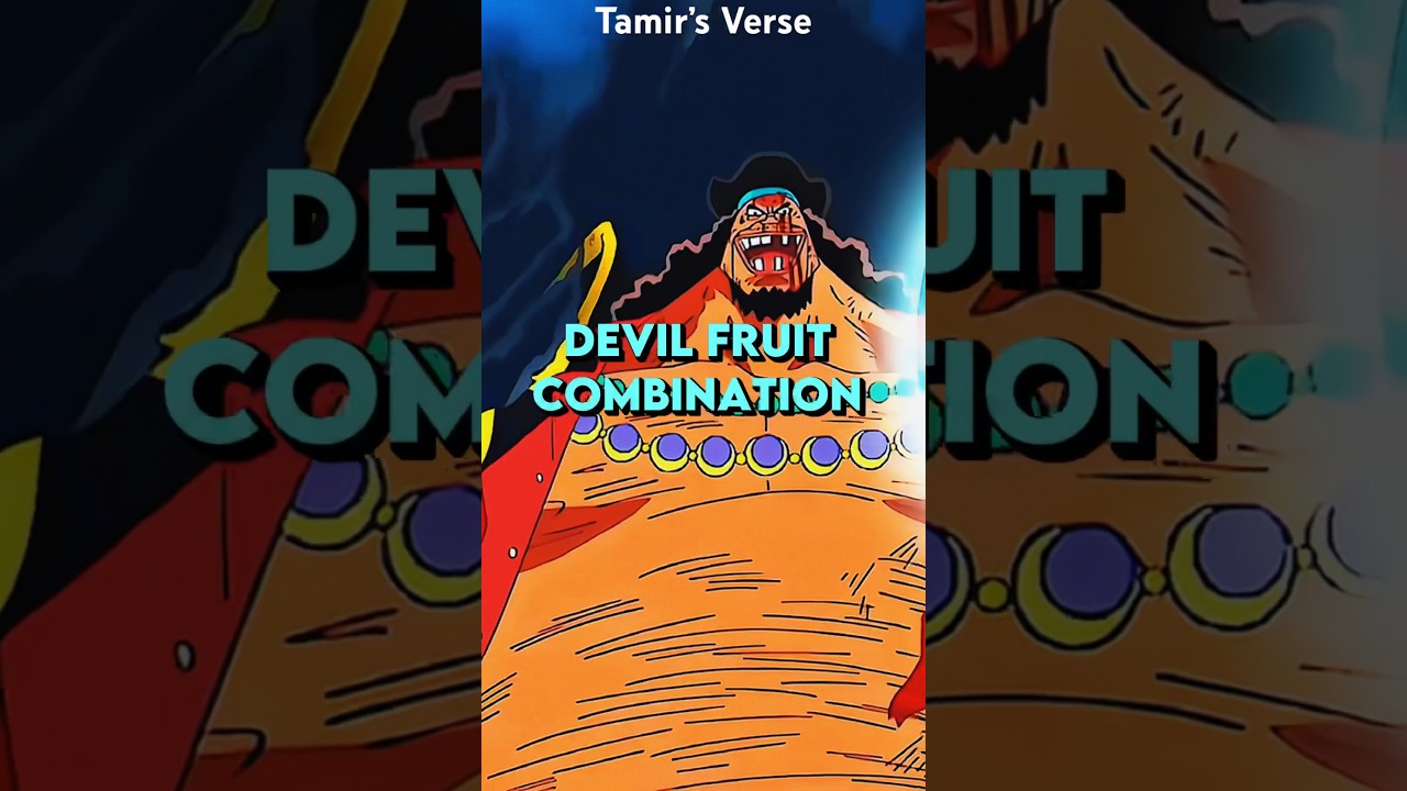 What Are The Most INSANE Devil Fruit Combinations?!? 