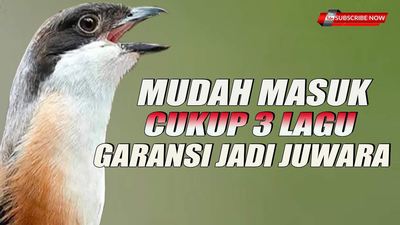 MASTERAN MUDAH DI TIRU CUKUP 3 LAGU GARANSI jadi JUWARAAAA