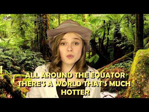 Rainforest Dreams Instructional Video