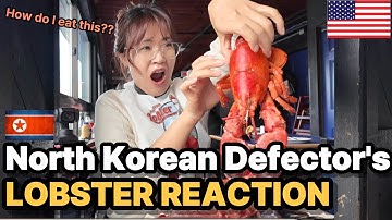 🇰🇵N. Korean Defector