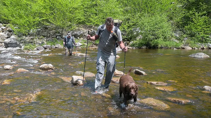 Dolly Sods (West Virginia) Backpacking - May 2022