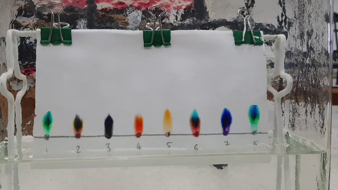 Testing Ink Solubility Chromatography of water soluble inks - YouTube