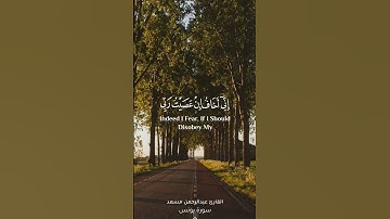 إني اخاف ان عصيت ربي عذاب يوم عظيم- القارئ عبدالرحمن مسعد