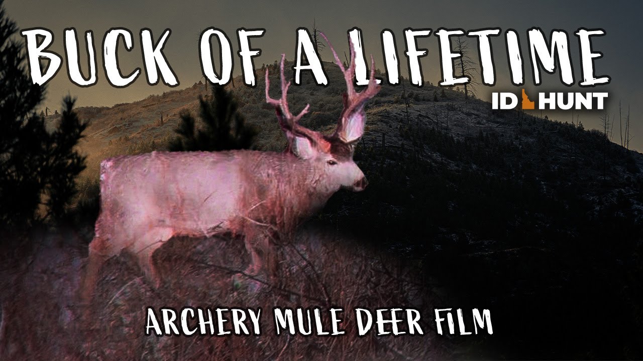BUCK OF A LIFETIME  | 4K | Late Season Archery Mule Deer Hunt