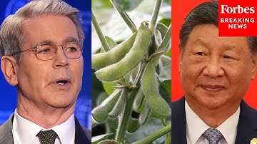 Scott Bessent: In A Phone Call, The First Thing President Xi Asked For 