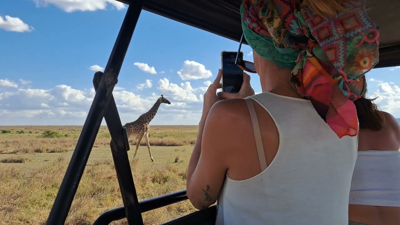 Giraffes and Elephants don't harm each other