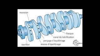 Batiments Haussmanniens Et Des Broutilles