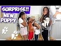 SURPRISING KIDS WITH A NEW PUPPY!! 🐶(cute reactions)