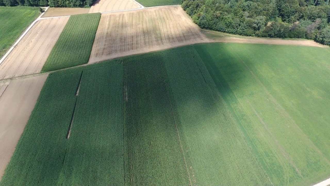 Unterweltfosielen @Holzmaden