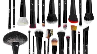 Shany Signature Collection Brush Review
