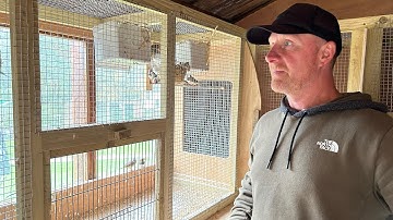 Building an aviary and outdoor flights