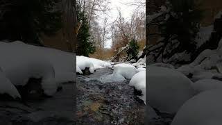 free nature video