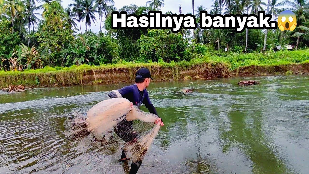 Awal yang bagus, jala ikan DI sungai dapat banyak ikan.!!! 