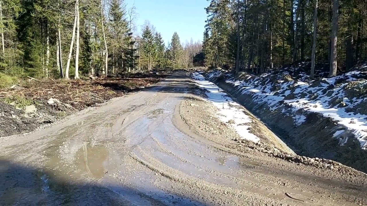 Teetööd Pringi metsas