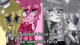 SpongeBob & Patrick Meets Paka! SpongeBob & Patrick || SpongeBob Story