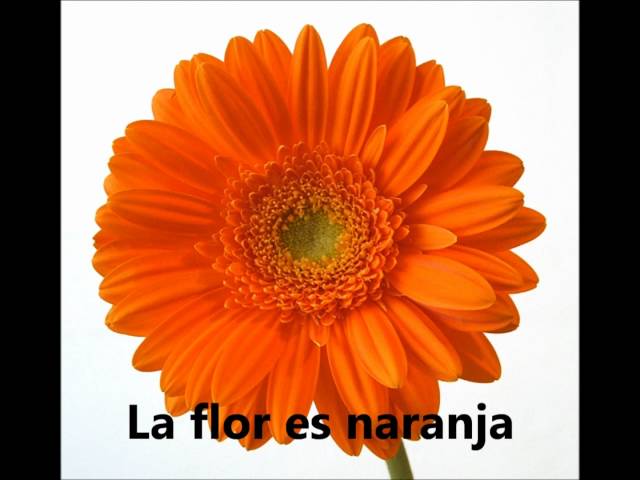 スペイン語の 色 は変化する ahora アオラ スペイン語の 色 は変化する ahora アオラ