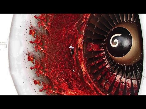فيديو: ماذا يحدث إذا اشتعلت النيران في محرك طائرة؟