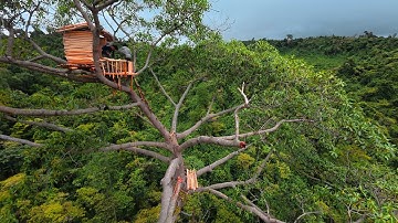Into the Wild Storm – Building a Treehouse Amid the Roaring Rainforest | bushcraft skills