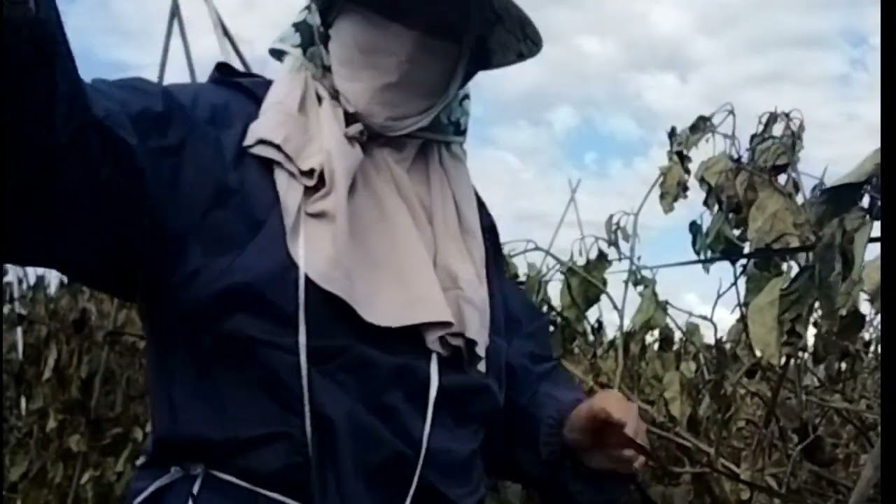 The eggplant season is over let's put away our tools 