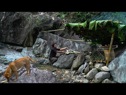 Make a fish trap from bamboo, Catch and cook: Survival Alone | EP.154