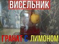 НАСТОЙКА &quot;ВИСЕЛЬНИК&quot; | ГРАНАТ С ЛИМОНОМ